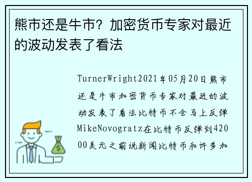 熊市还是牛市？加密货币专家对最近的波动发表了看法 